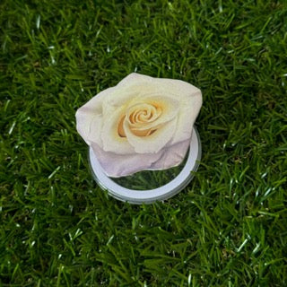 Bloomsy Pop Handmade Magsafe Phone Grip