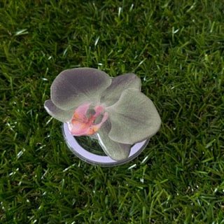 Bloomsy Pop Handmade Magsafe Phone Grip