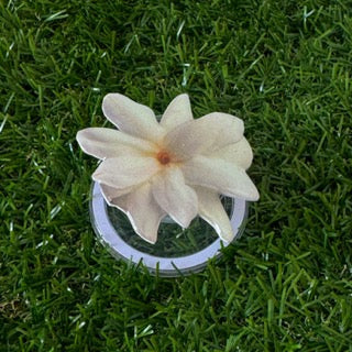 Bloomsy Pop Handmade Magsafe Phone Grip